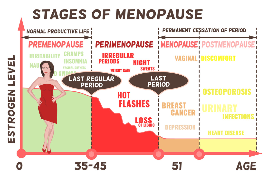 Hormonal Changes During Menopause and How to Support Your Body Through the Transition